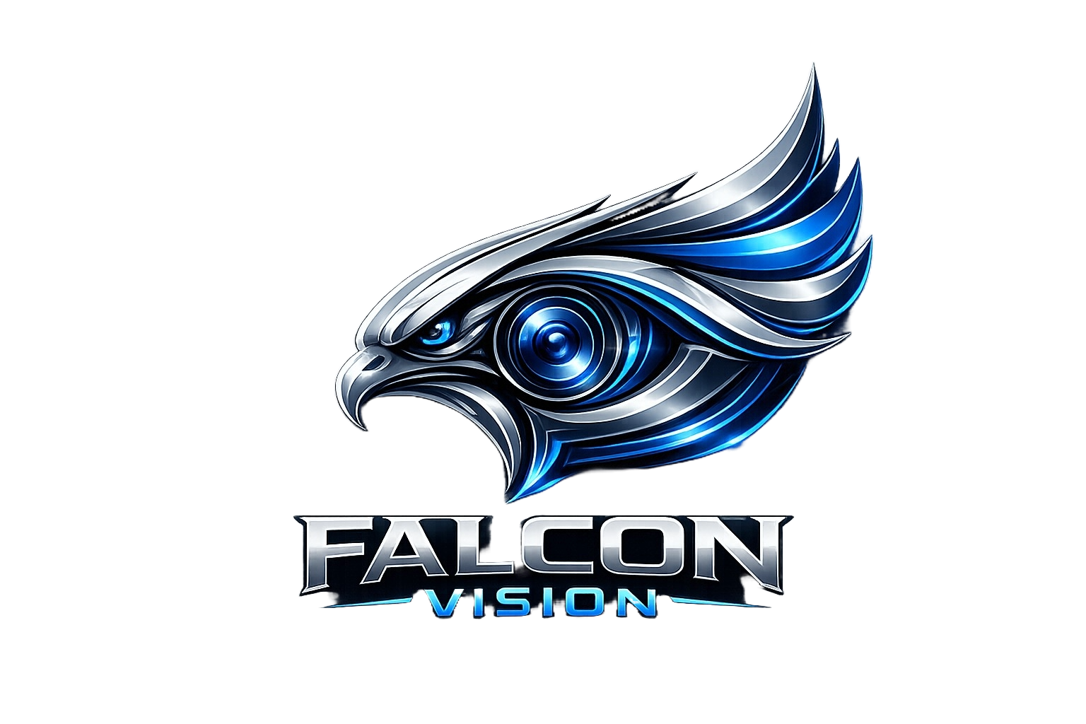 Falcon Vision